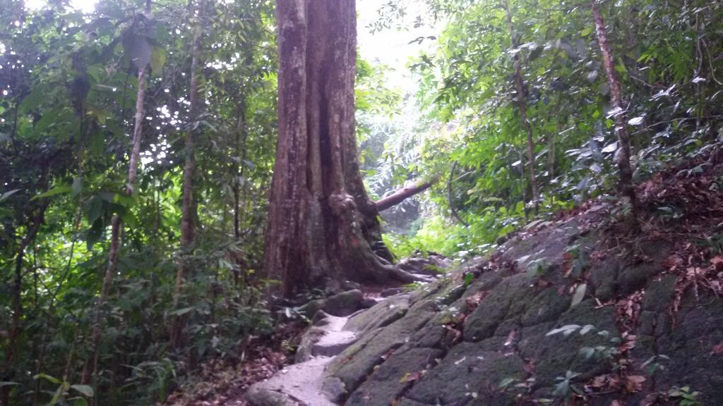 Penang Hill Lodge Ayer Itam Luaran gambar